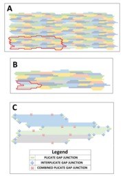 Simulation of Ectopic Pacemakers in the Heart: Multiple Ectopic Beats Generated by Reentry inside Fibrotic Regions