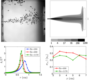 Turbulent Bubble Jets in Microgravity. Spatial Dispersion and Velocity Fluctuations